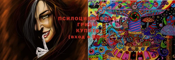 соль ск Абдулино