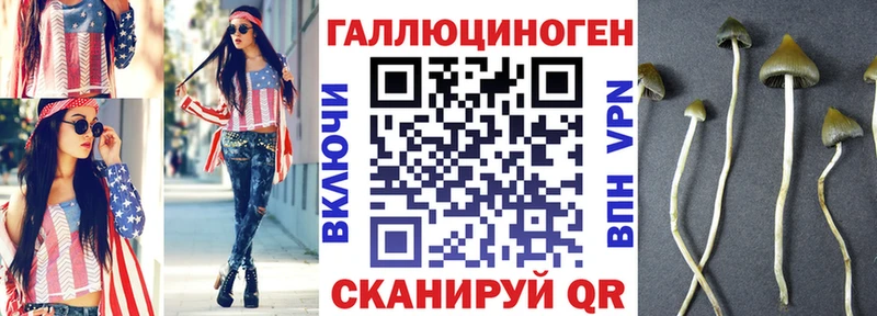 Псилоцибиновые грибы мицелий  даркнет сайт  Тула 